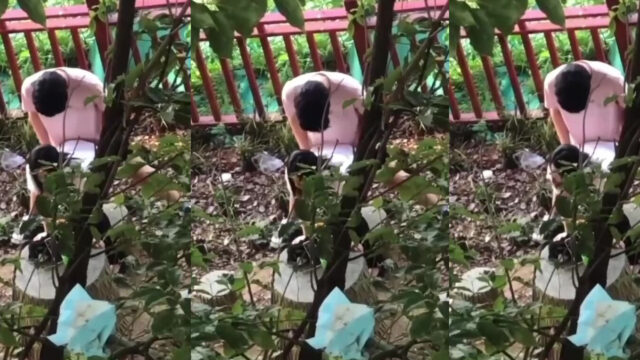 young asian couple caught fucking in the forest